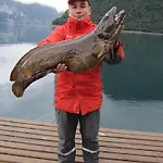 Fjordhytte-7, Im Vestland, Am Maurangerfjord Beim Hardanger, Nahe Trolltunga, Zwischen Odda Und Rosendal