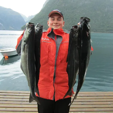 Hébergement de vacances Fjordhytte-7, Im Vestland, Am Maurangerfjord Beim Hardanger, Nahe Trolltunga, Zwischen Odda Und Rosendal
