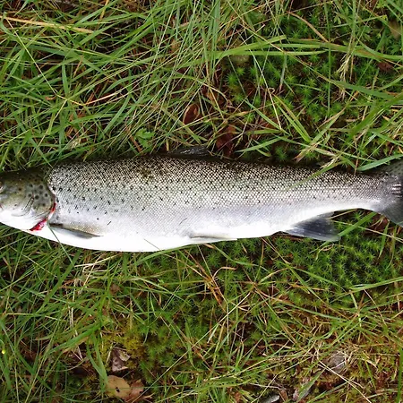 Prázdninový dům Fjordhytte-7, Im Vestland, Am Maurangerfjord Beim Hardanger, Nahe Trolltunga, Zwischen Odda Und Rosendal Sundal