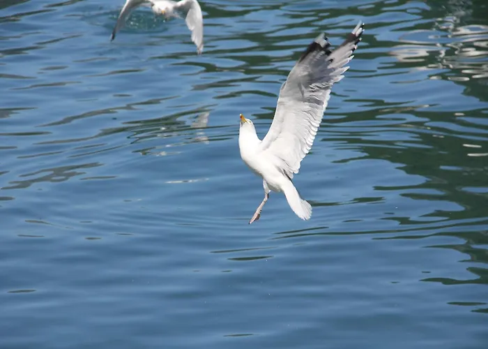 Fjordhytte-7, Im Vestland, Am Maurangerfjord Beim Hardanger, Nahe Trolltunga, Zwischen Odda Und Rosendal Prázdninový dům Sundal