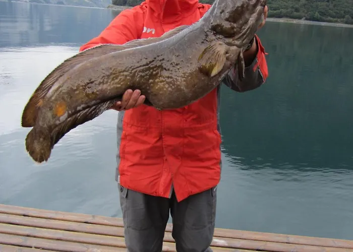 Fjordhytte-7, Im Vestland, Am Maurangerfjord Beim Hardanger, Nahe Trolltunga, Zwischen Odda Und Rosendal